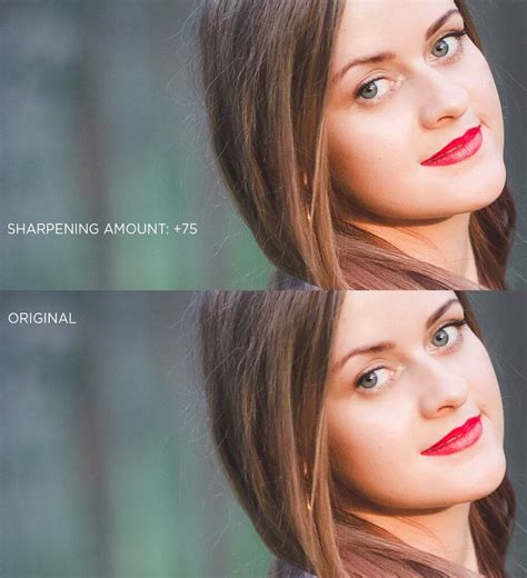 Sharpening In Lightroom 4 Days To Sharper Photos Pretty Presets For Lightroom