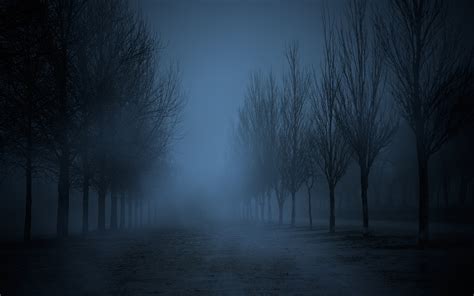 Images Fog Avenue Nature Parks Night Trees X