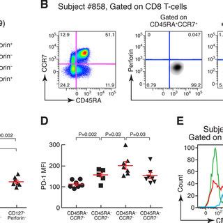 Combination Of Cd And Perforin Expression Association With T Cell