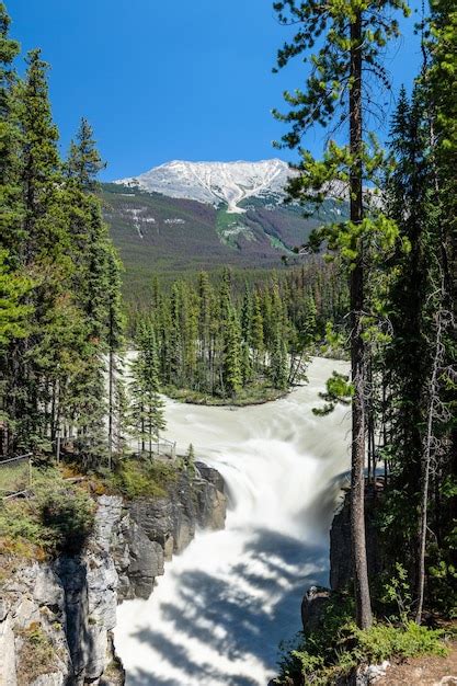 Sunwapta Falls Canadian Rockies Bela Paisagem Natural Parque Nacional