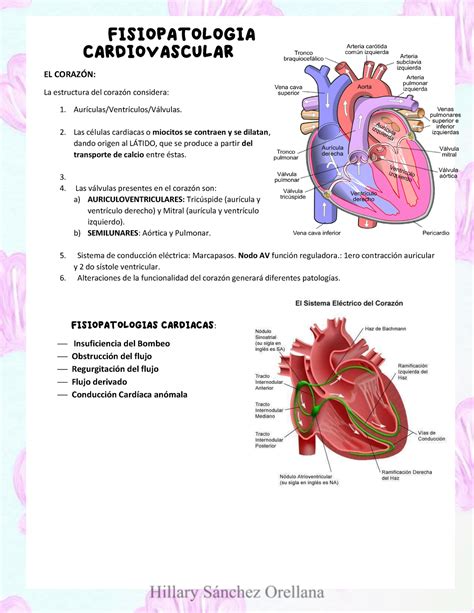 Fisiopatología De La Insuficiencia Cardiaca Studocu Images and Photos