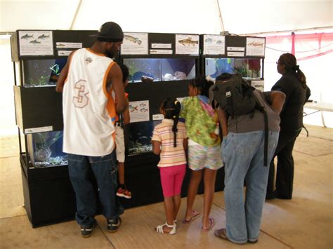 Fish School Engaging The Public With Trinidads Freshwater Diversity