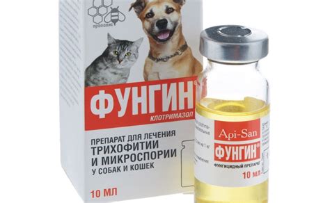 Фунгин Форте – препарат для кошек: инструкция и показания к применению ...