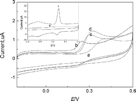 Cyclic Voltammograms Of Different Modified Gc Electrode In 2 © 10 ¹5