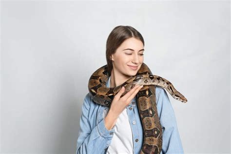 10 Best Pythons And Boa Constrictors To Have As Pets Reptile School