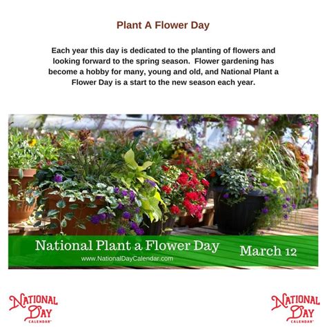 National Plant A Flower Day March 12 Plants National Day Calendar