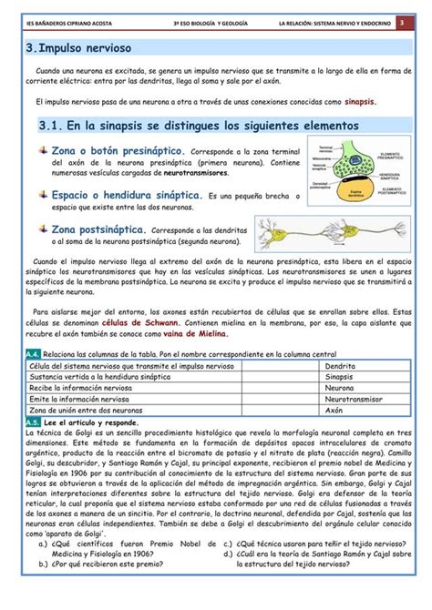 Sistema Nervioso Y Endocrino Eso Pdf