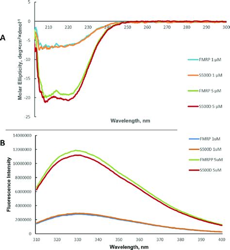 Biophysical Characterization Of Fmrp And Fmrp S500d A Cd Spectra For Download Scientific