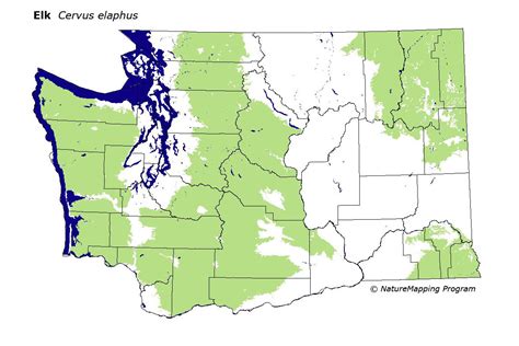 Distribution Map - Elk (Cervus elaphus)