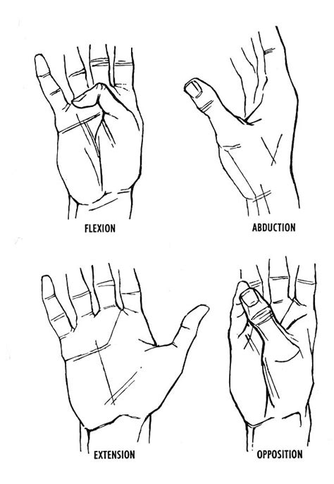 Tips To Treat Pinched Median Nerve Exercises For Carpal Tunnel