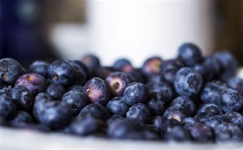 Benefits Of Wild Vs Cultivated Blueberries Healthy Choices Hub Magazine