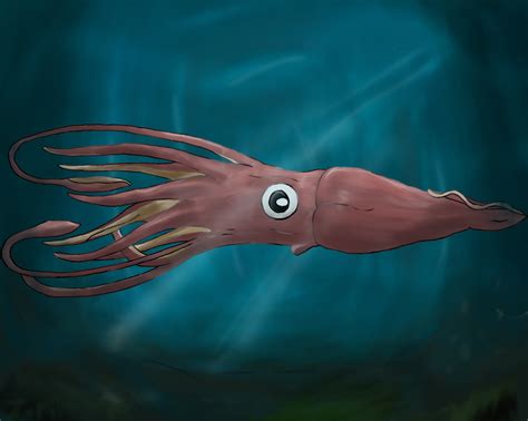 Giant Squid By Zolfyxtolfy On Deviantart