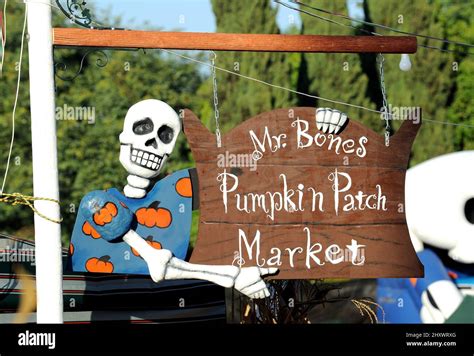 Mr Bones Hi Res Stock Photography And Images Alamy