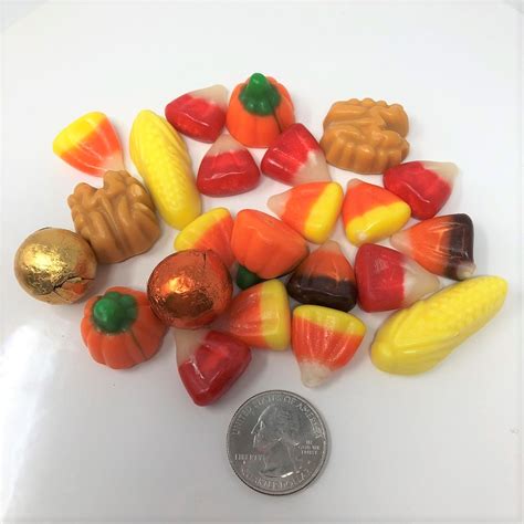 Jelly Belly Fall Harvest Mix Assorted Autumn Thanksgiving Candy 1 Pound