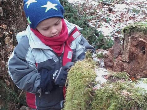 Unsere Waldpädagogik - Kindergarten St. Cyriakus