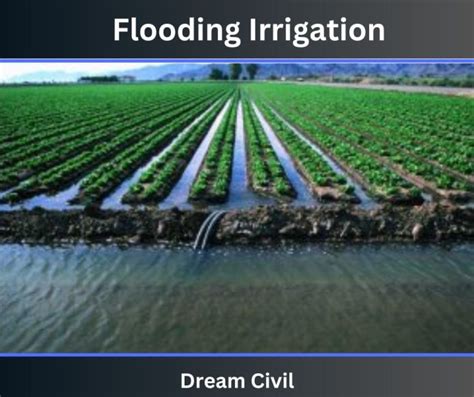 Flooding Irrigation 2 Types Of Flooding Irrigation Wild Flooding