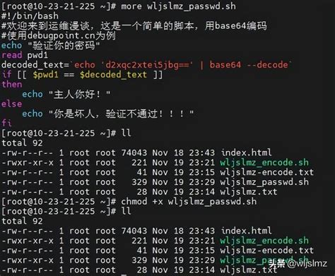 全網最優質的Base64 編碼和解碼教程附6個示例 每日頭條