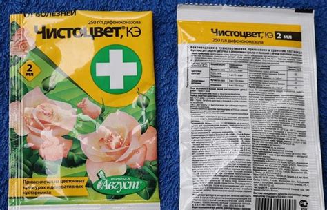 Чистоцвет: инструкция по применению фунгицида от болезней, дозировка и ...