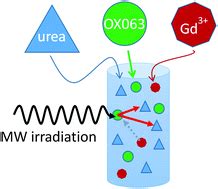 The Effect Of Gd On Trityl Based Dynamic Nuclear Polarisation In Solids