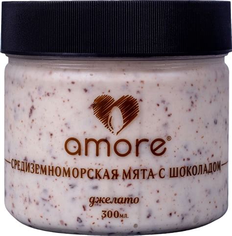 Мороженое Amore Средиземноморская мята с шоколадом, молочное, 300 мл ...