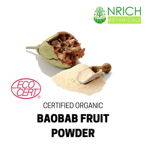 Organic Baobab Fruit Powder At Rs 2500kg Fruit Powder In Thanjavur Id 26164615655