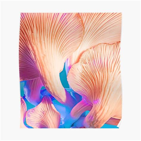 "imazing flowers in off white colour" Poster for Sale by gehad93 ...