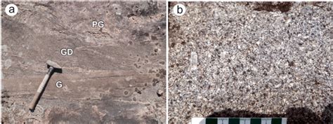 Figure GS 4 6 Field Photographs Of Granitoid Rocks From The Western