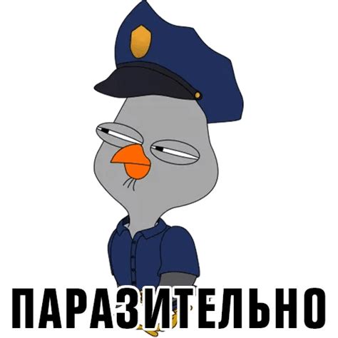 Sova Whatsapp Stickers Stickers Cloud