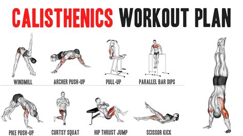 Calisthenics Workout Routine Shoulders | EOUA Blog