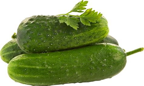 Cucumber Png Transparent Cucumberpng Images Pluspng