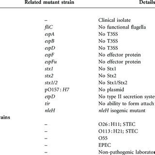 EHEC O157 H7 Infection Prevents TNFa And IL 1b Induced Activation Of