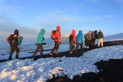 8 Days Mount Kilimanjaro Hiking Tour via Lemosho Route | Trip Ways