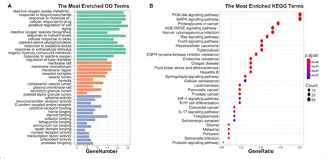 A Go Enrichment Each Bar Indicates A Cc Mf Bp Term Color Means