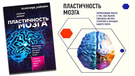 «Пластичность мозга» Норман Дойдж + книга в подарок - YouTube