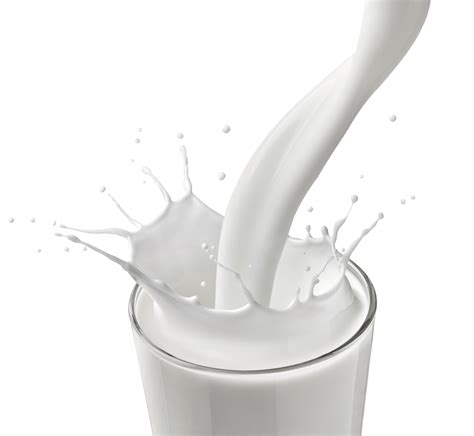 Why Milk Is White Science