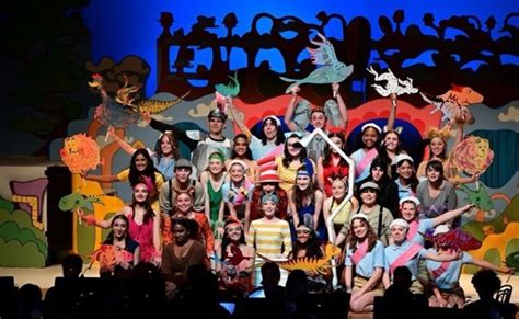 Seussical The Musical A ‘sublime Night Povs From The Audience And