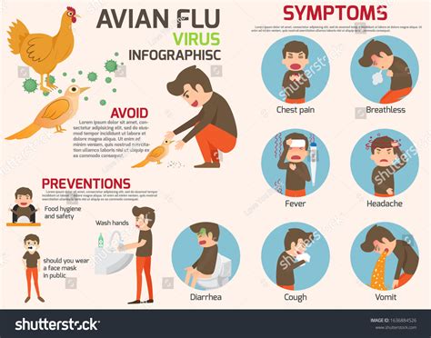 Bird Flu 2025 Symptoms In Humans Everett J Herron