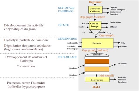 De l orge au malt Le génie des procédés par l exemple