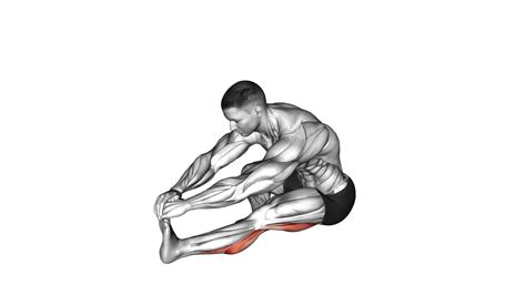 Sitting Toe Pull Calf Stretch Exercise Guide And Tips