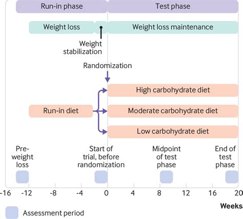 Effects Of A Low Carbohydrate Diet On Energy Expenditure During Weight Loss Maintenance