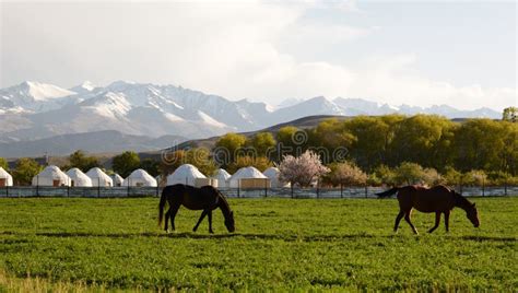 Kyrgyz Mountain Landscape Near Bokonbayevo Issyk Kul Region