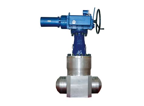 Main Steam Gate Valve Prosup LLC