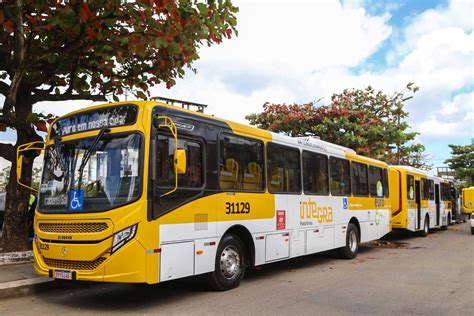 Vitória x Guarani Prefeitura monta esquema especial de ônibus para