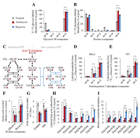 Metabolic reprogramming in cancer cells according to maxΦ δ A Mass