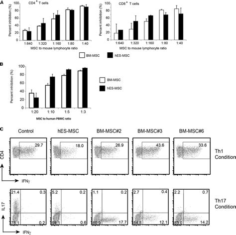 Effects Of Hes Mscs And Bm Mscs On T Cell Functions In Vitro A