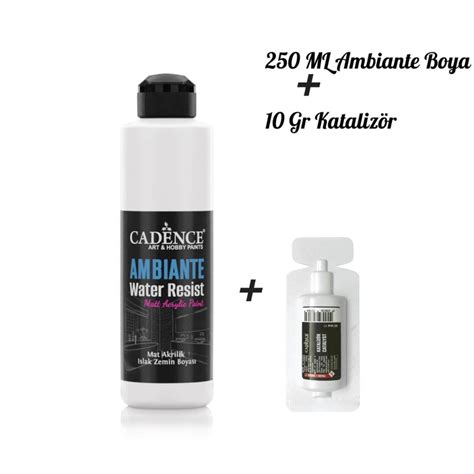 Водостойкая акриловая краска Cadence Ambiente Water Resist Paint купить ...