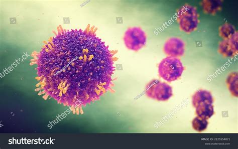 Estructura Del Virus De La Rubeola