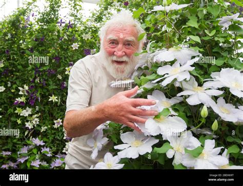 David bellamy hi-res stock photography and images - Alamy