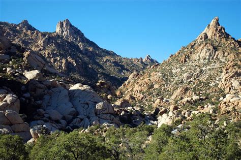 8 photos that show off the best of Mojave National Preserve