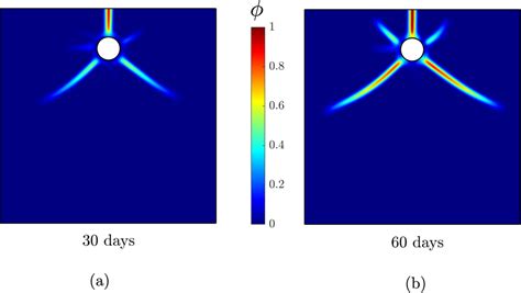 Figure From A Phase Field Chemo Mechanical Model For Corrosion